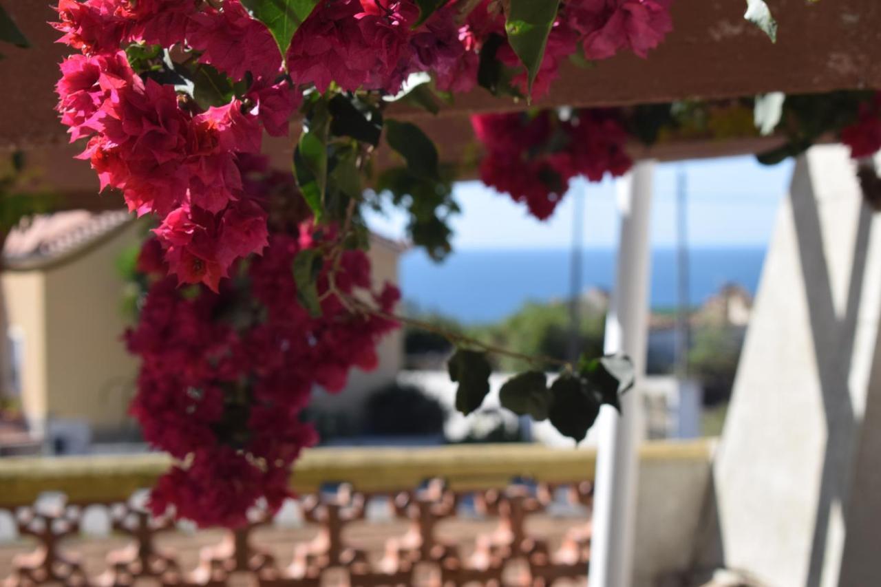 Casa Jardim Peniche Bed & Breakfast Sao Bernardino Exterior photo